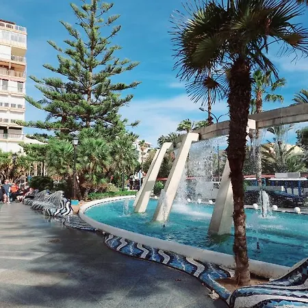 Fifa Torrevieja