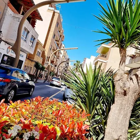 Fifa Apartamento Torrevieja